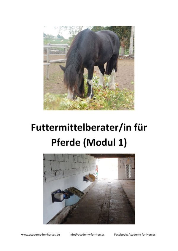 Futtermittelberater/in für Pferde (AfH), <ZFU Nr. 7356620c>