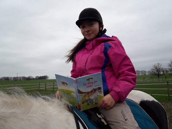 ganzheitliche/r Lerntrainer/in mit Pferden / Lernen, Nachhilfe und Hausaufgabenbetreuung mit Pferden