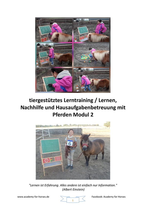 ganzheitliche/r Lerntrainer/in mit Pferden / Lernen, Nachhilfe und Hausaufgabenbetreuung mit Pferden